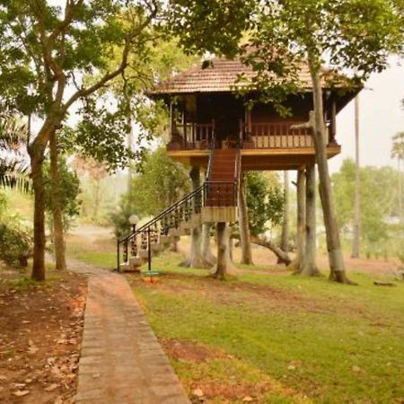 Isola Di Cocco Ayurvedic Beach Resort Poovar Екстер'єр фото