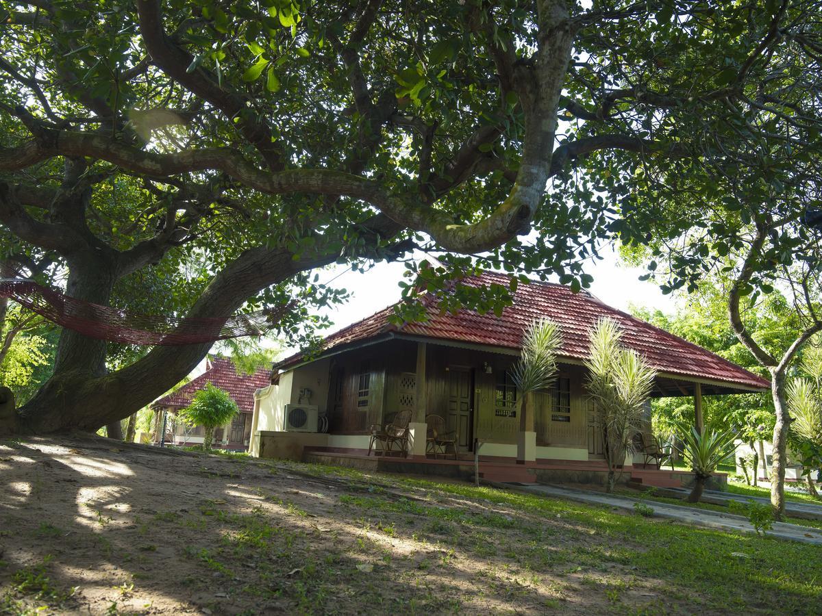 Isola Di Cocco Ayurvedic Beach Resort Poovar Екстер'єр фото