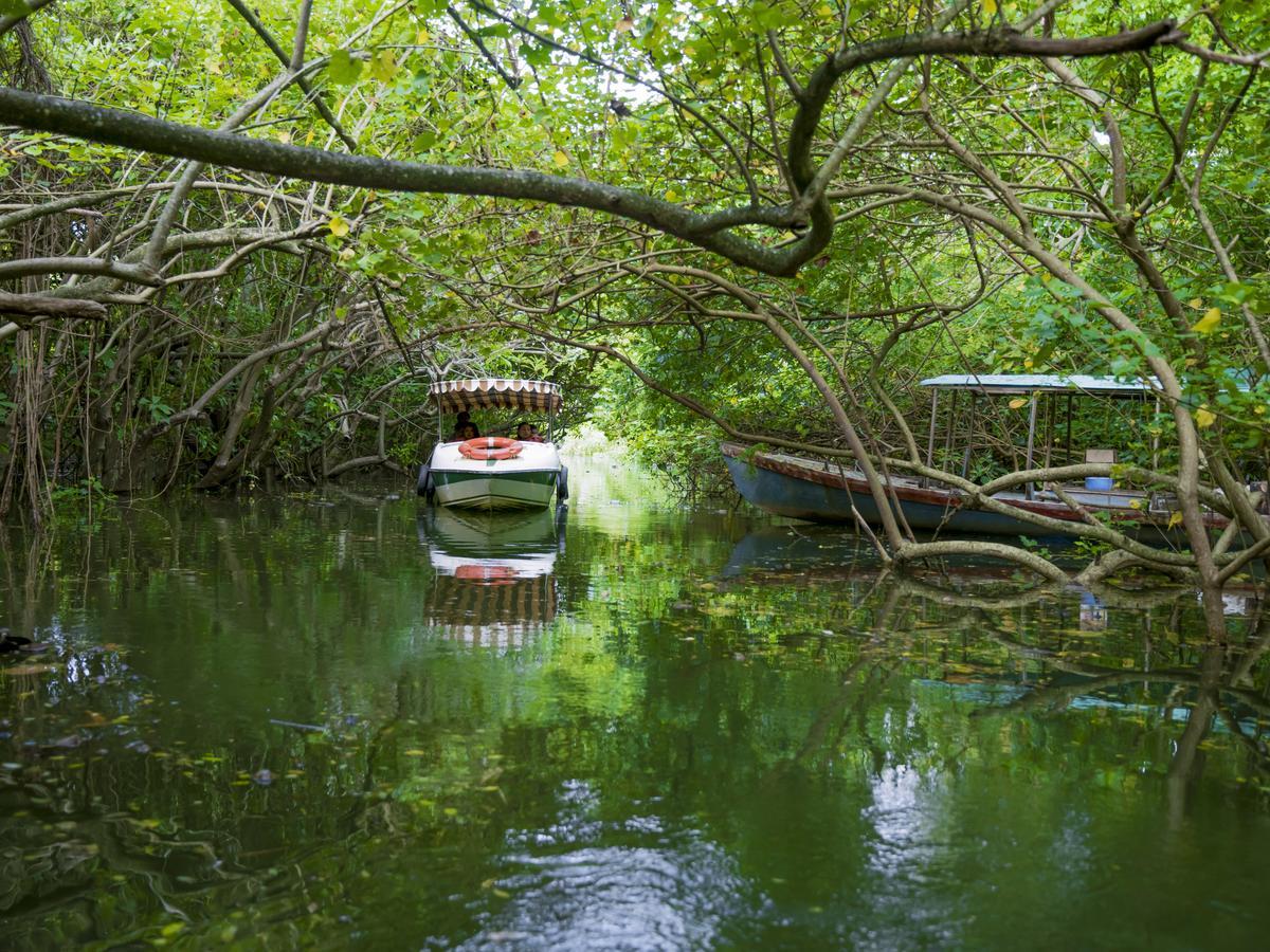 Isola Di Cocco Ayurvedic Beach Resort Poovar Екстер'єр фото